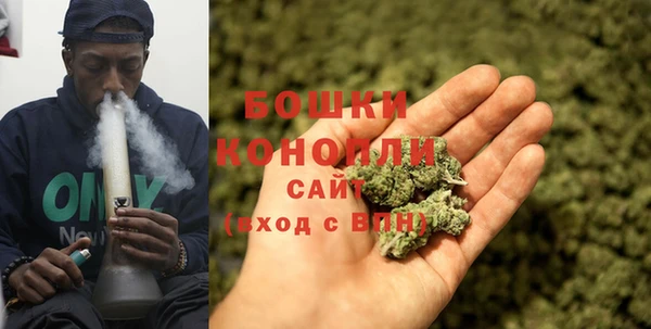 стаф Дмитров