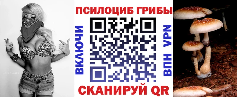 Галлюциногенные грибы Psilocybine cubensis  Лысьва 
